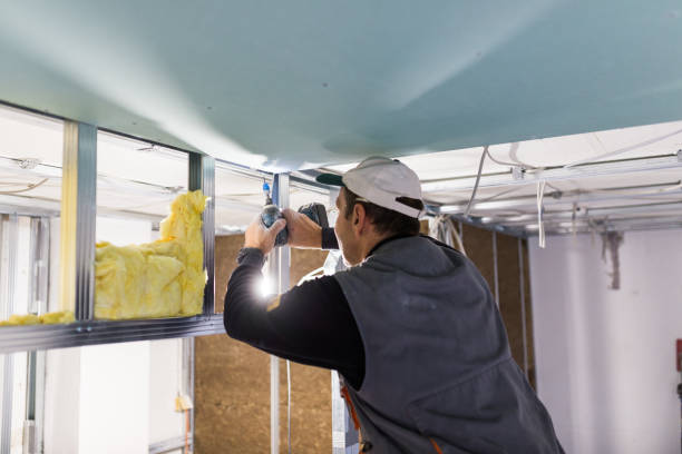 Best Geographic-Specific Insulation Services in Brockport, NY