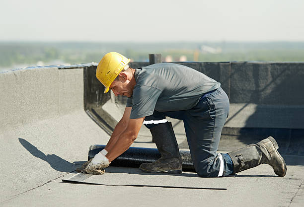 Best Specialized Insulation Services in Brockport, NY