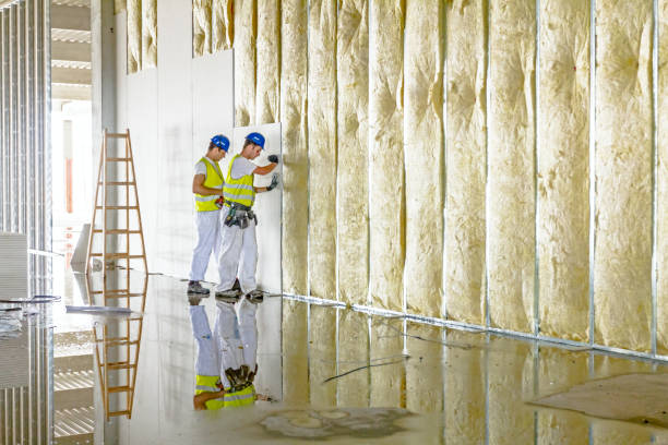Best Eco-Friendly Insulation in Brockport, NY